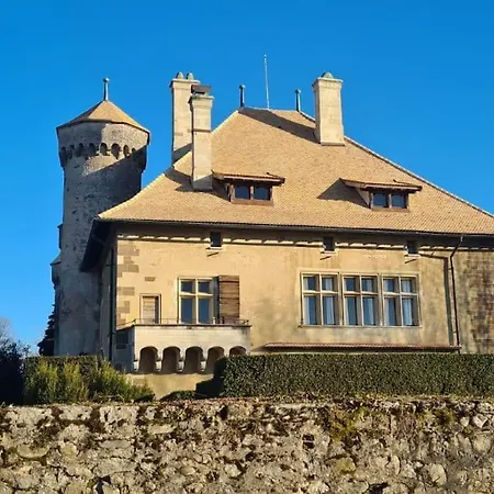 Ferienwohnung La Grande Mouette Thonon-les-Bains Exterior foto