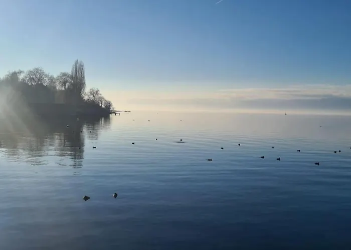 La Grande Mouette