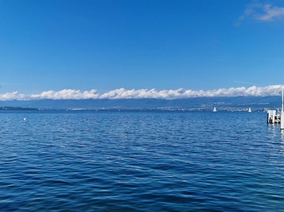 La Grande Mouette Apartment Thonon-les-Bains