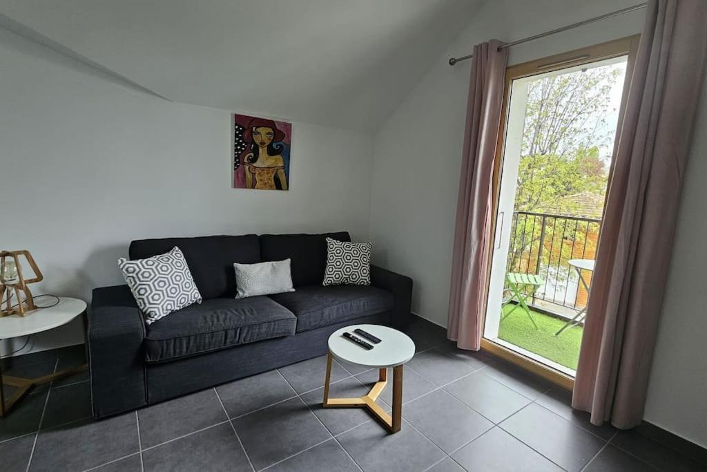 La Grande Mouette Apartment Thonon-les-Bains